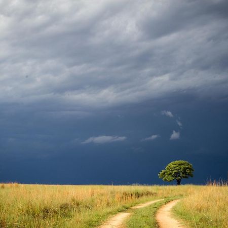 فندق Vaalplaasفي  Ezemvelo Nature Reserve المظهر الخارجي الصورة