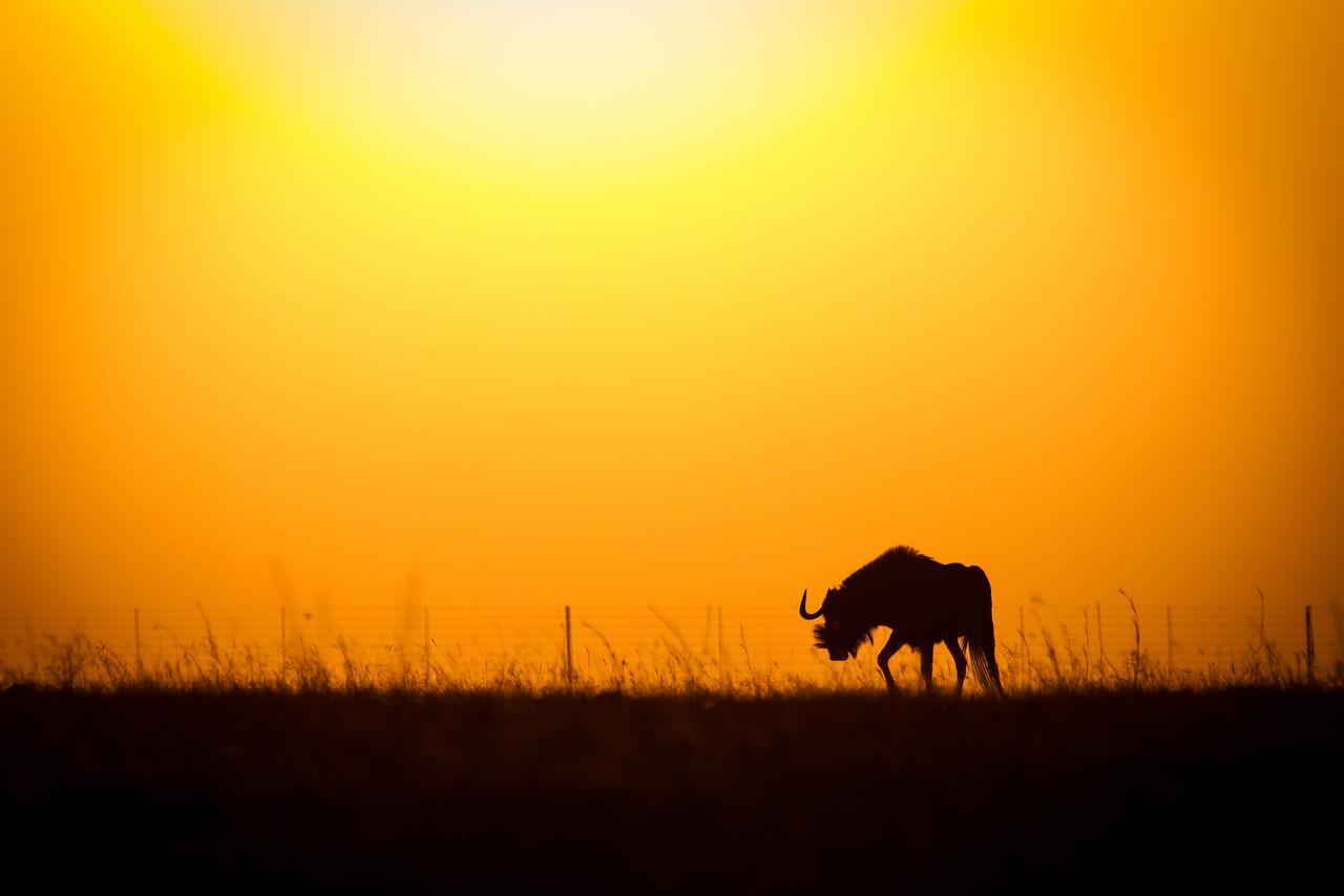 فندق Vaalplaasفي  Ezemvelo Nature Reserve المظهر الخارجي الصورة